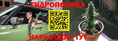 тгк Камышлов