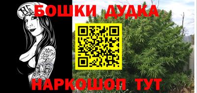 шишки Канаш