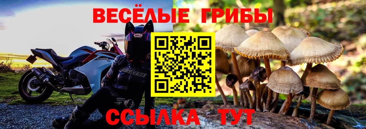 Армавир  Псилоцибиновые грибы GOLDEN TEACHER  Вход с VPN 